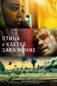 Птица в клетке. Заражение Птица в клетке. Заражение