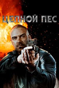 Цепной пес Цепной пес
