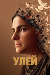 Улей Улей