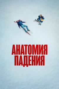 Анатомия падения Анатомия падения