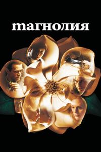 Магнолия Магнолия